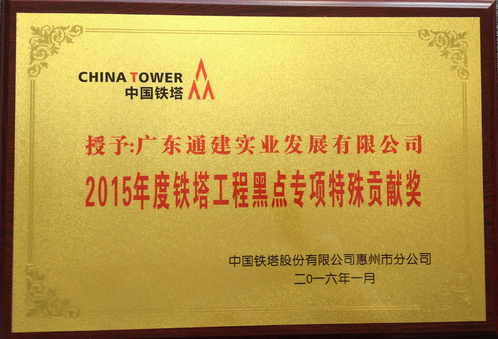 2015年度鐵塔工程黑點(diǎn)專項(xiàng)特殊貢獻(xiàn)獎(jiǎng)
