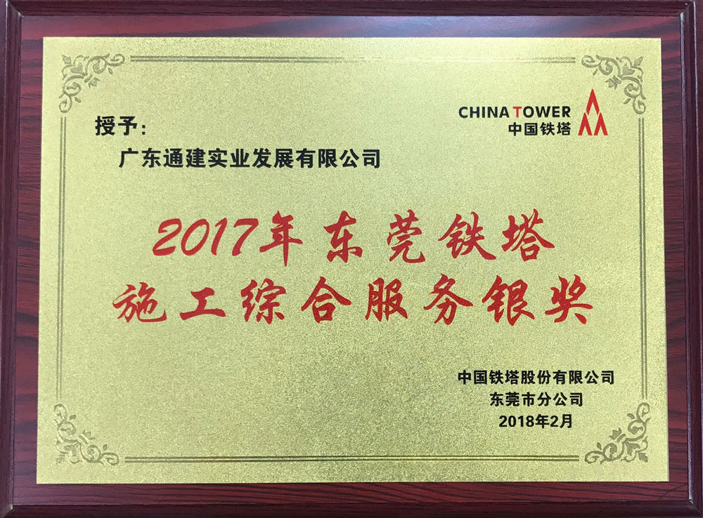 2017年?yáng)|莞鐵塔施工綜合服務(wù)銀獎(jiǎng)